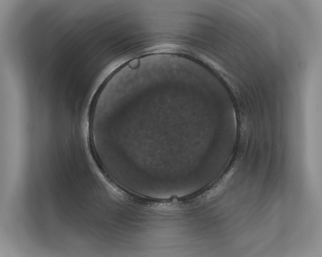 X0000110861418200907161347