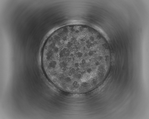 X0000110861419200907161347