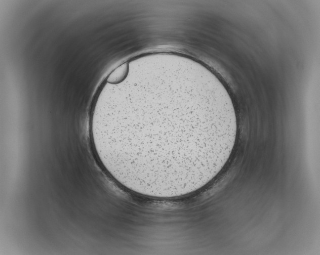 X0000110861420200907161347