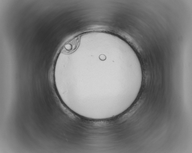 X0000110861421200907161347