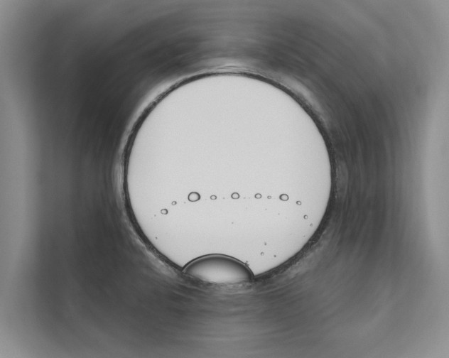 X0000110861424200907161347