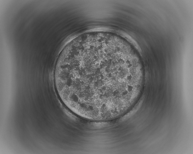 X0000110861425200907161347