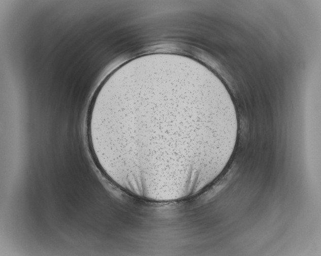 X0000110861426200907161347