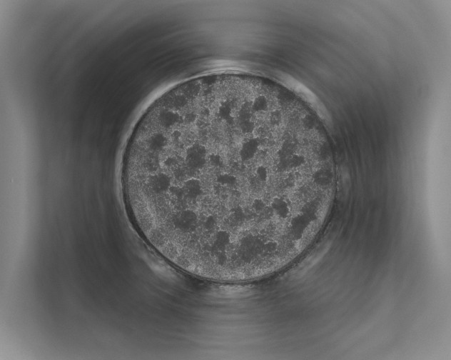 X0000110861427200907161347