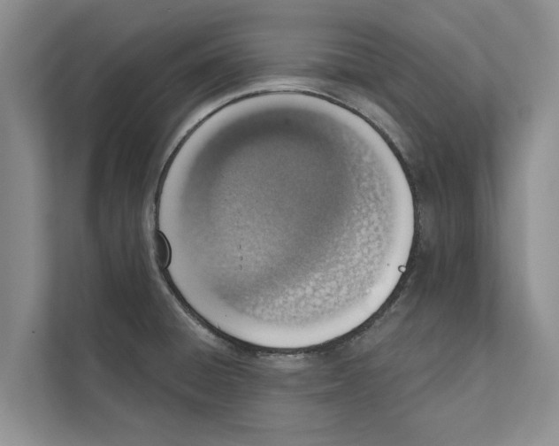 X0000110861428200907161347