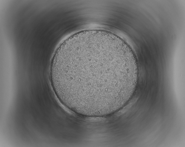 X0000110861429200907161347