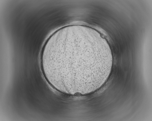 X0000110861430200907161347