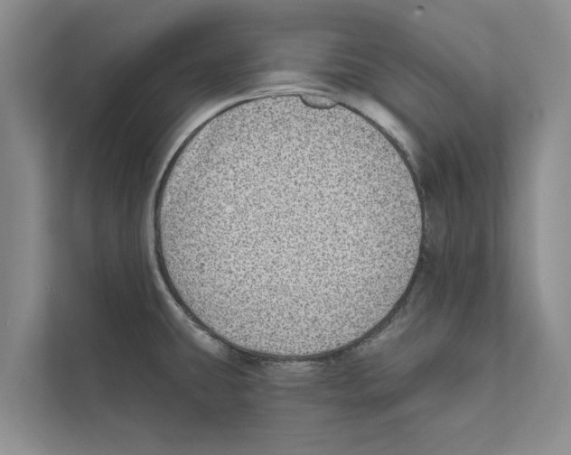 X0000110861431200907161347