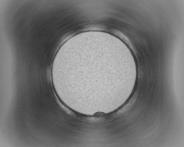 X0000110861433200907161347