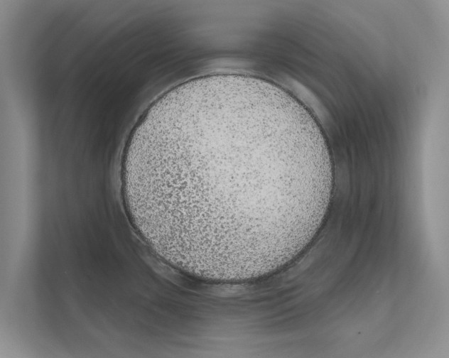 X0000110861435200907161348