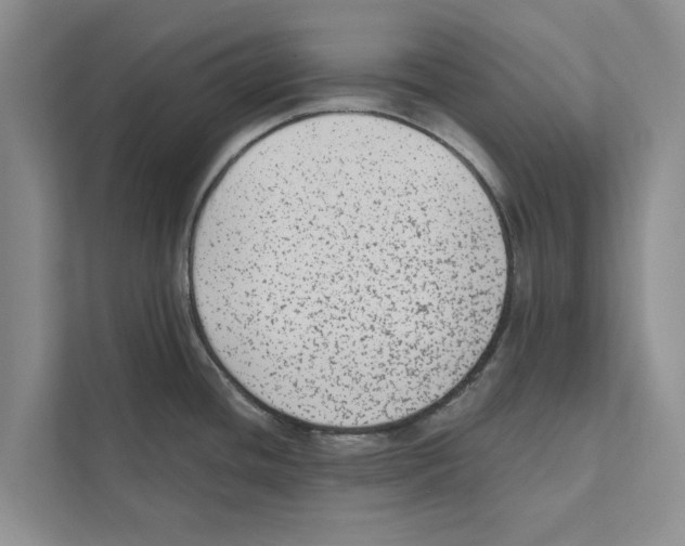 X0000110861436200907161348