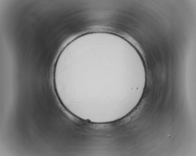 X0000110861437200907161348