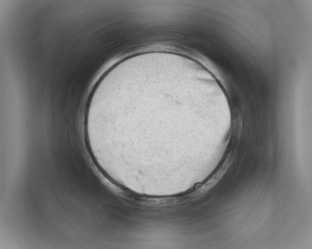 X0000110861438200907161348