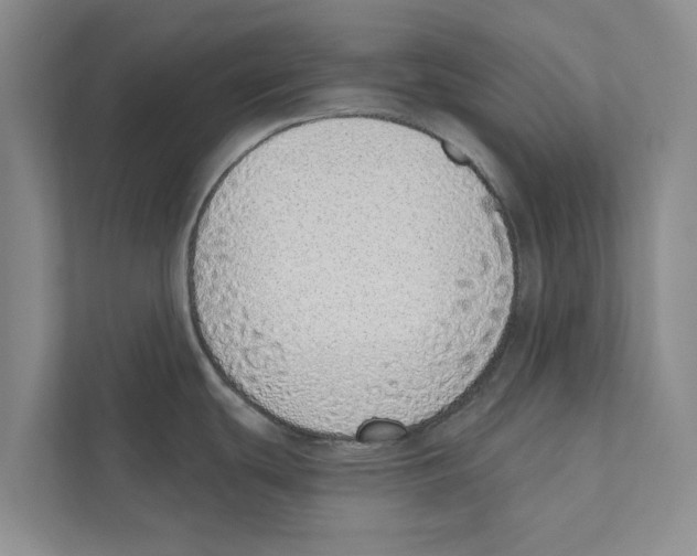 X0000110861439200907161348