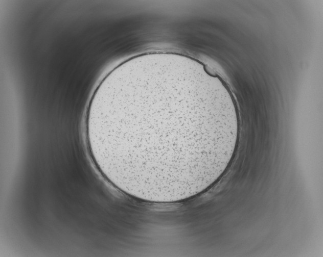 X0000110861440200907161348
