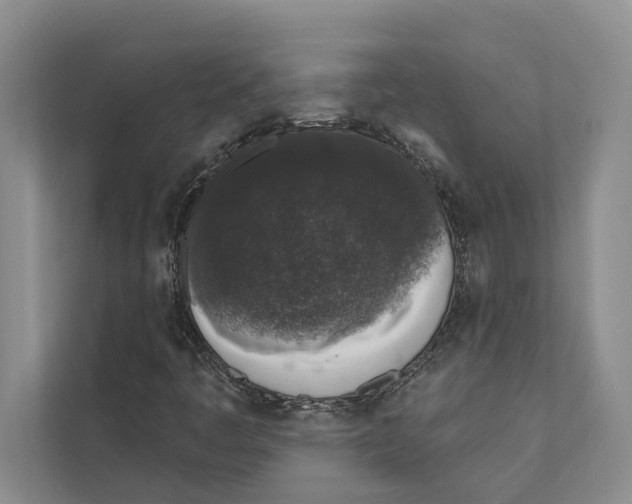 X0000110861445200907161347