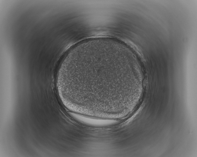 X0000110861449200907161347