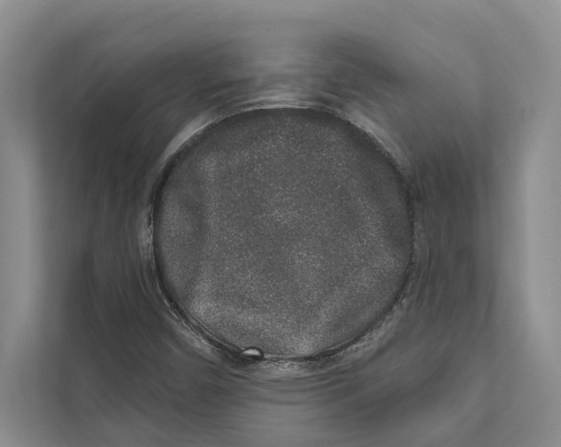 X0000110861450200907161347