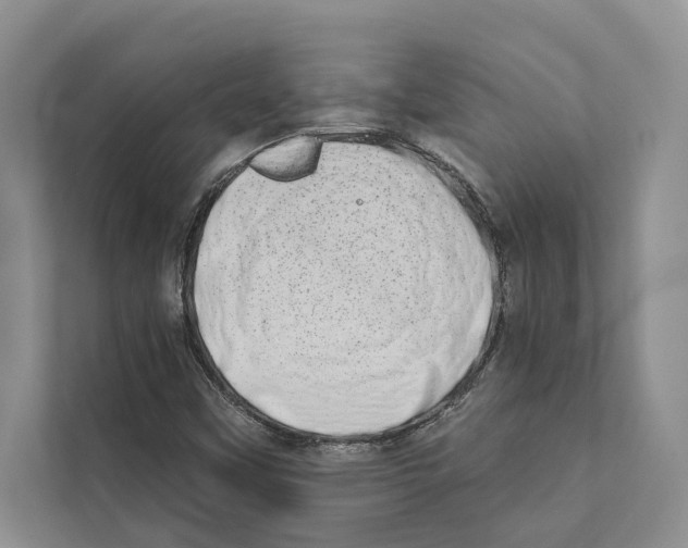 X0000110861451200907161347