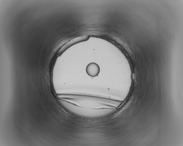 X0000110861453200907161347