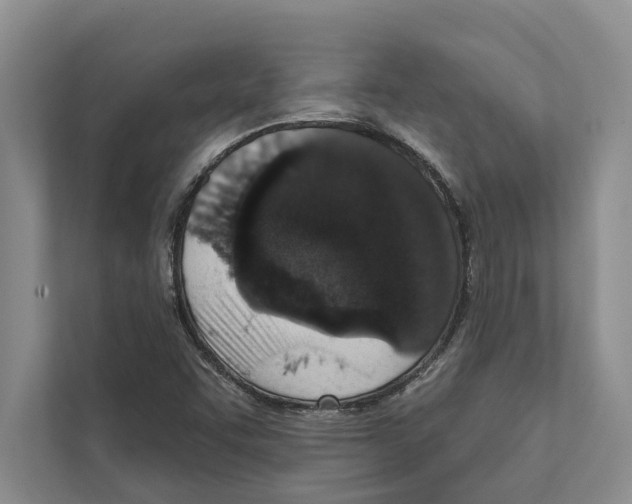 X0000110861455200907161347