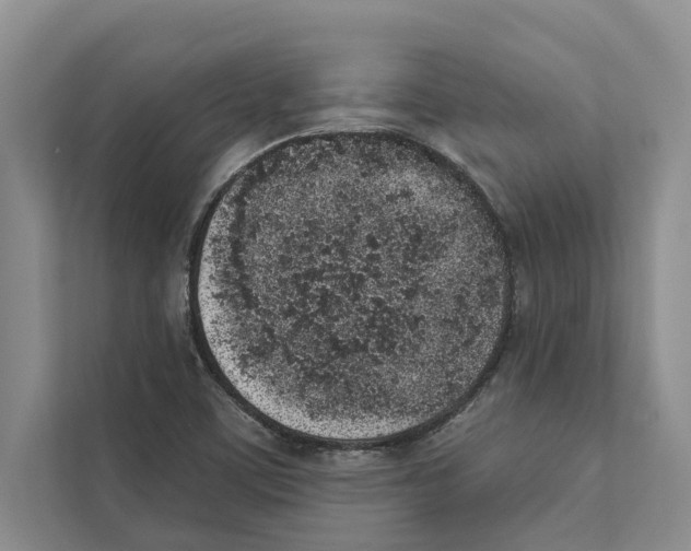 X0000110861459200907161347