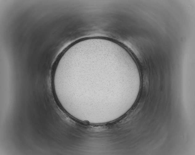 X0000110861460200907161347