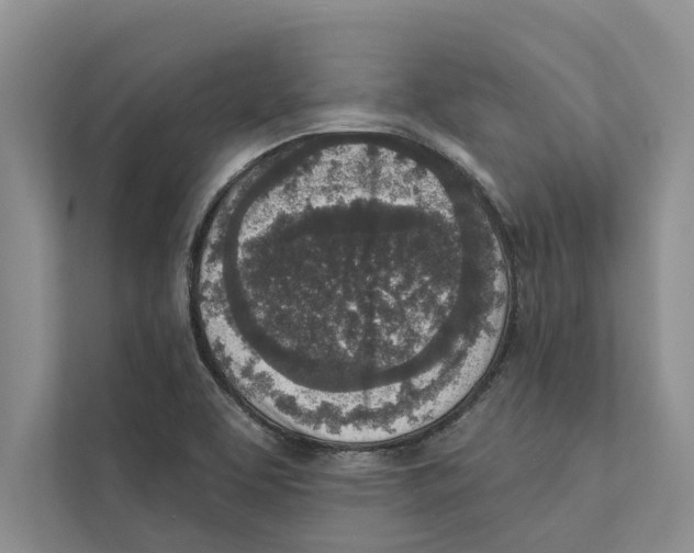 X0000110861463200907161347