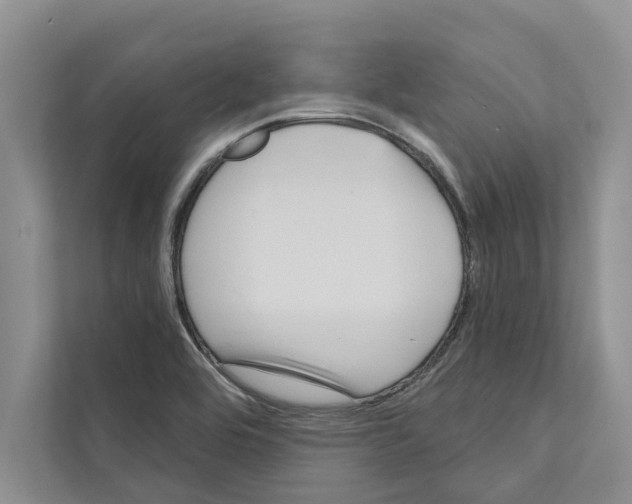 X0000110861464200907161347
