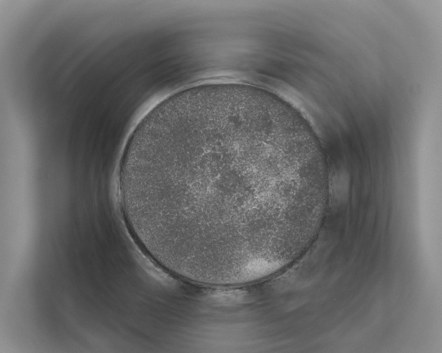 X0000110861466200907161347
