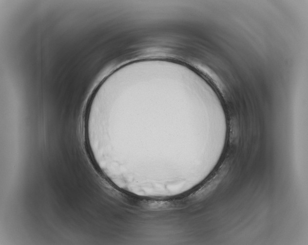 X0000110861467200907161347