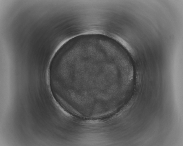 X0000110861468200907161347