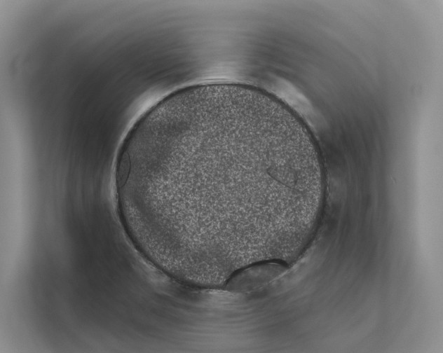 X0000110861469200907161347