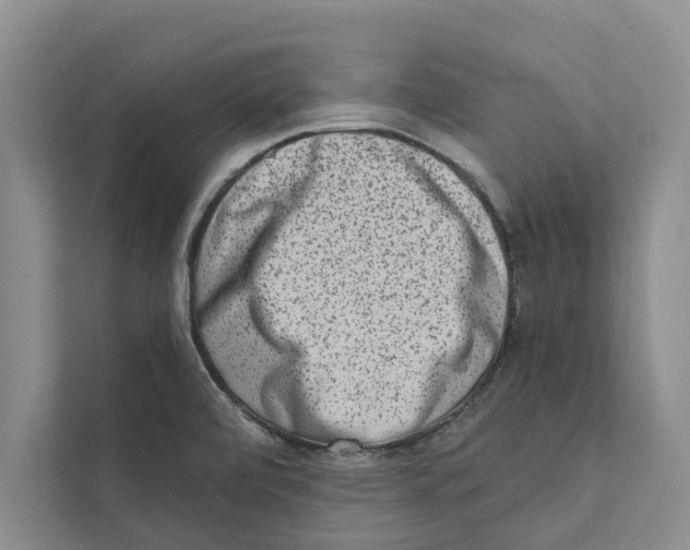 X0000110861472200907161347