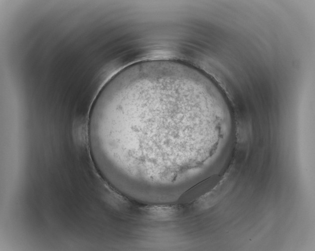 X0000110861473200907161347