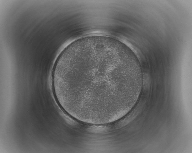 X0000110861474200907161347