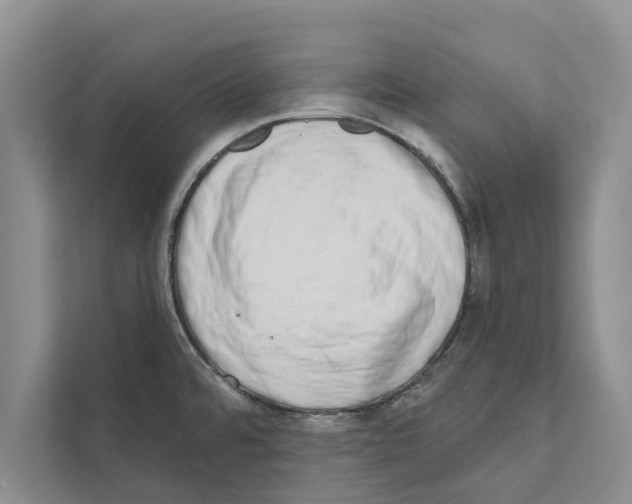 X0000110861480200907161346