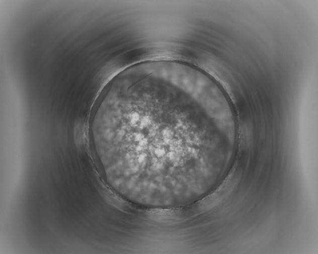 X0000110861481200907161346