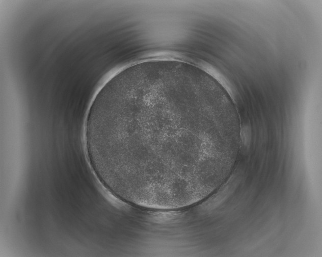 X0000110861482200907161346