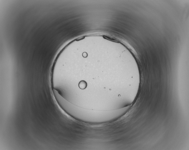 X0000110861484200907161346