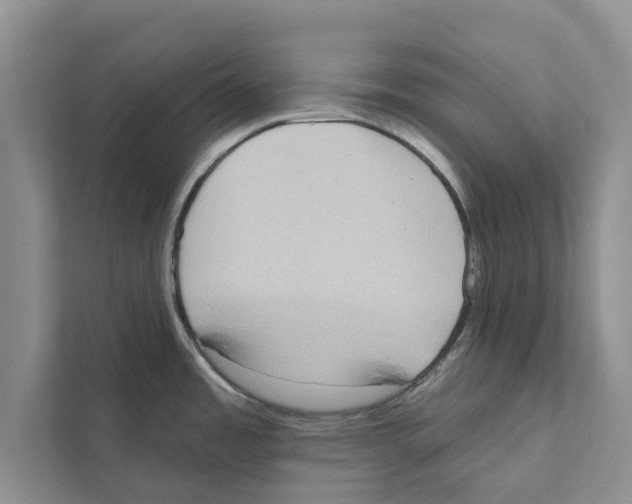 X0000110861485200907161346