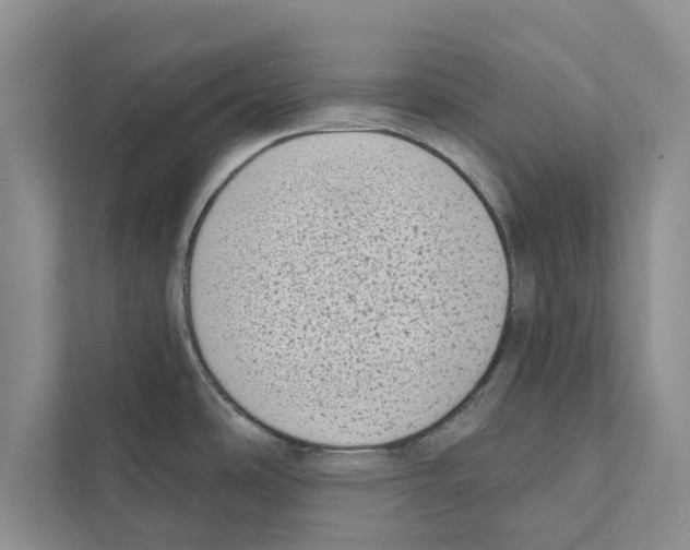 X0000110861486200907161346