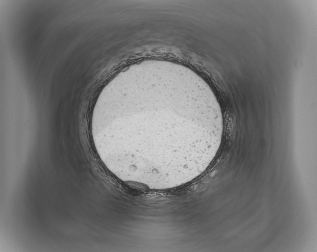 X0000110861489200907161346