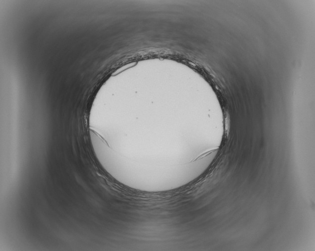 X0000110861492200907161346