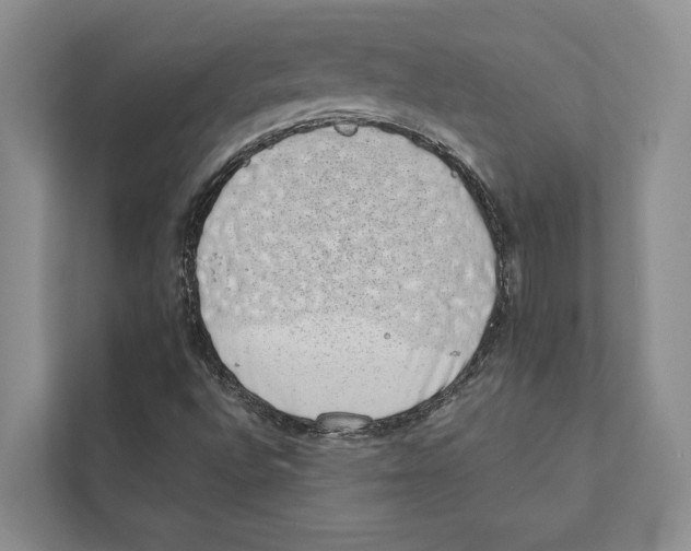 X0000110861496200907161346