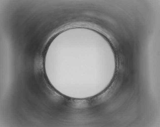 X0000110861498200907161346