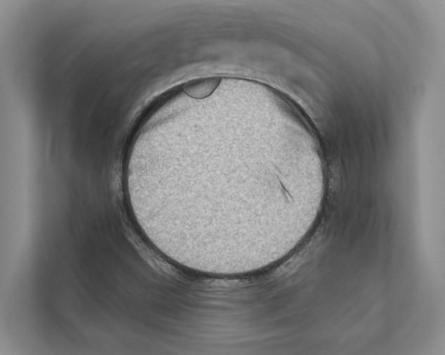 X0000110861499200907161346