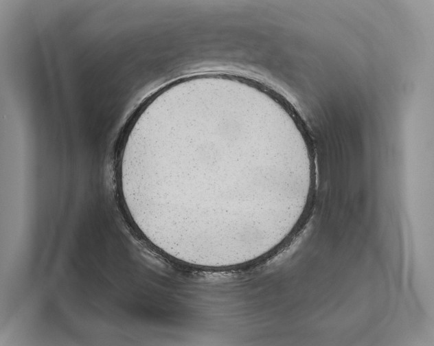 X0000110861501200907161346