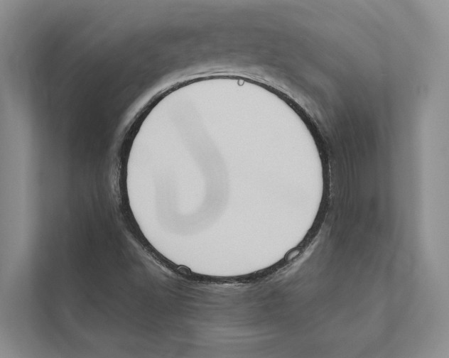 X0000110861502200907161346