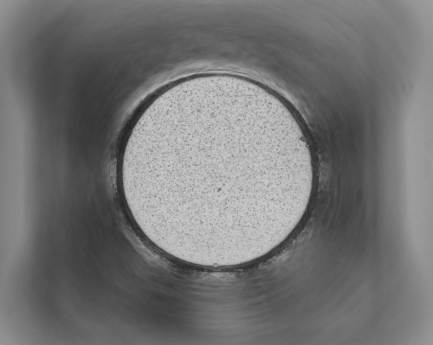 X0000110861503200907161346